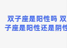 双子座是阳性吗 双子座是阳性还是阴性